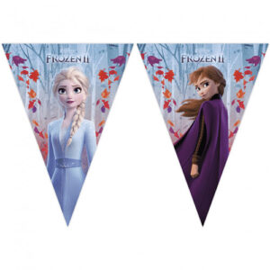Disney frozen slinger met Anna en Elsa